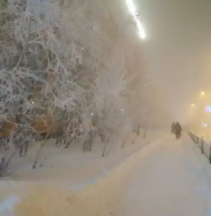 Безопасность отопления в условиях морозов в Восточно-Казахстанской области