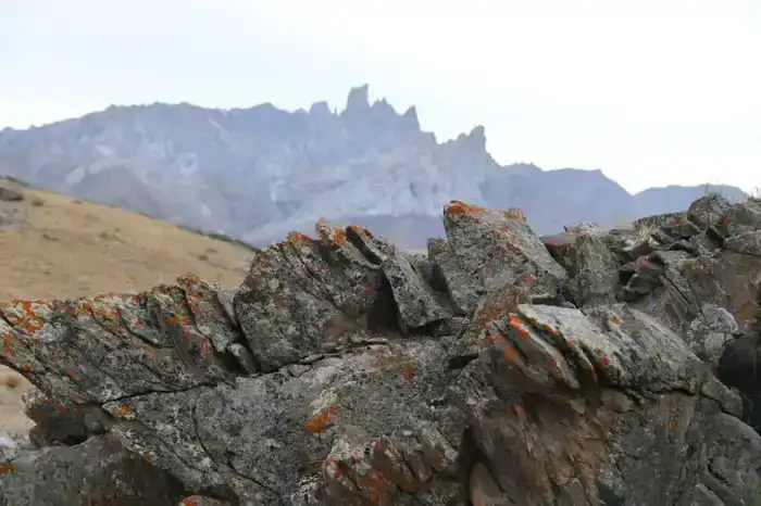 Работа по сохранению культурного наследия Туркестанской области: петроглифы на пути в список ЮНЕСКО