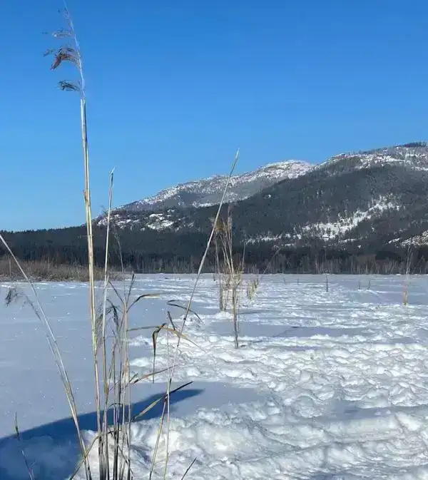 На водоёмах Каркаралинского нацпарка идут зимние аэрационные работы (5)