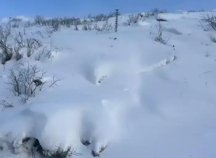 В ВКО проведено обследование лавиноопасных участков вдоль дорог (3)