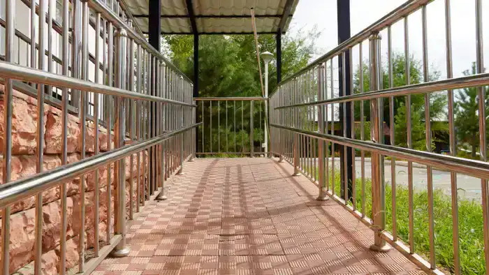 Итоги года в области Жетісу: службой инватакси оказано порядка 110 тысяч услуг (5)