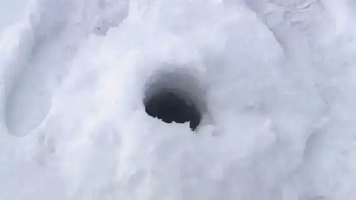 Чтобы рыба пережила зиму: на водоёмах Карагандинской области проводят противозаморные работы (4)