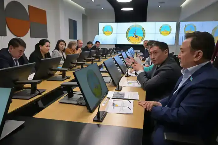 С нового года - к новым задачам и проектам (5)