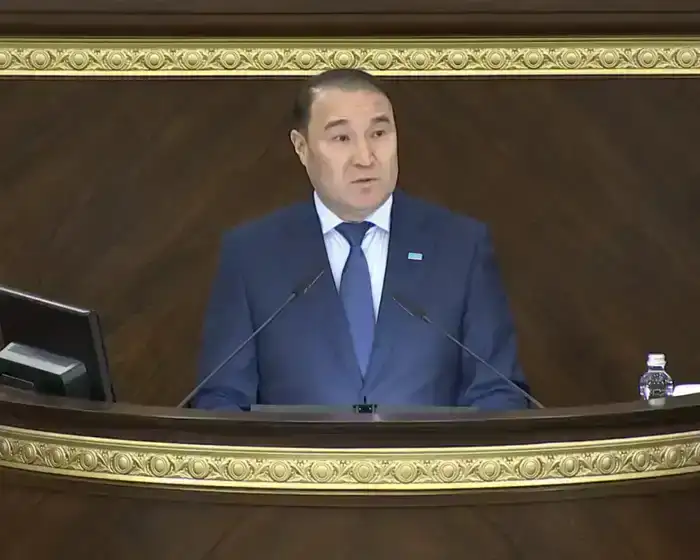 В Мажилисе рассмотрен законопроект о ратификации Соглашения по созданию механизма гражданской защиты Организации тюркских государств