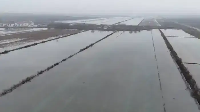 В Туркестанской области началась промывка почвы на 104,3 тыс. га орошаемых земель для борьбы с засолением