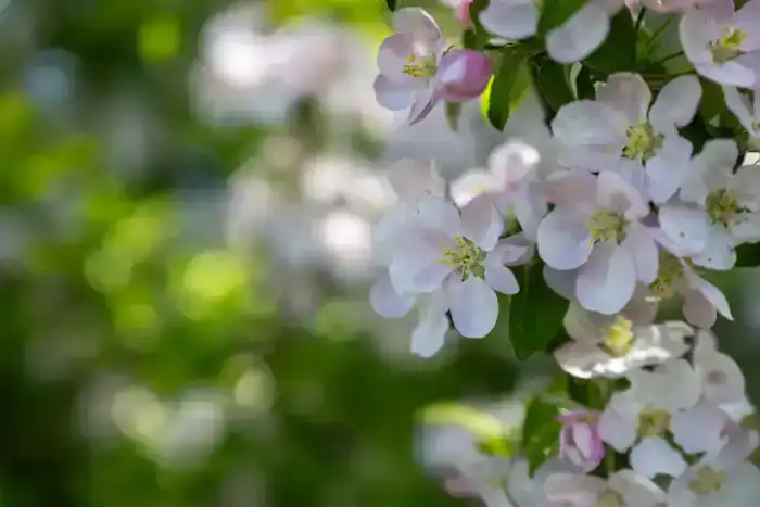 Рост числа посетителей национальных парков Жетісу в 2025 году