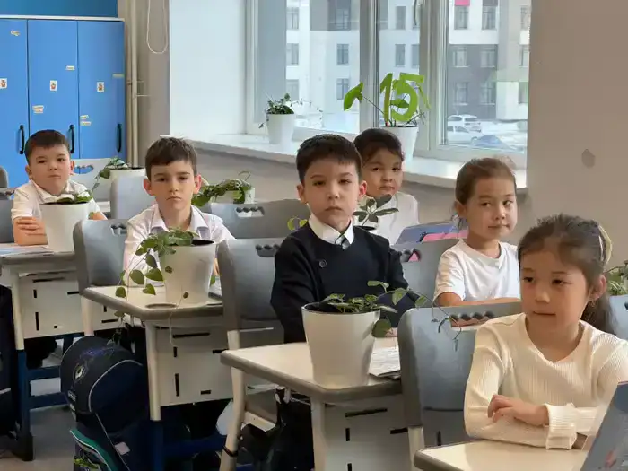 Экологический проект «От ростка к фито-классу» презентовали в столичной школе (2)
