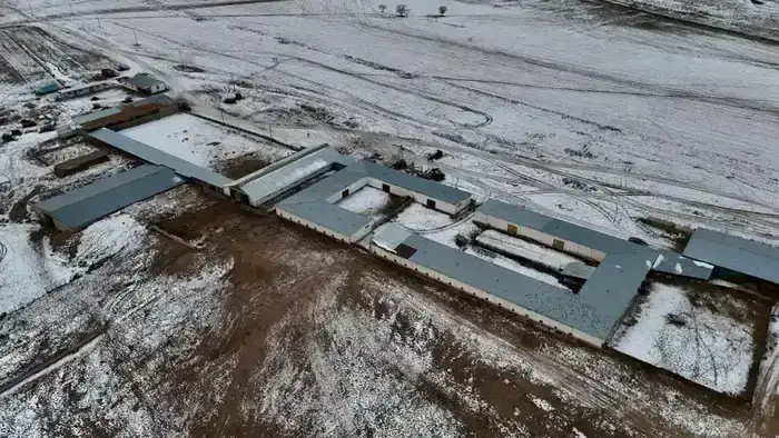 В Конаеве начнётся строительство молочно-товарной фермы на 1200 голов