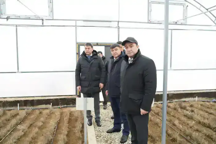 В ТУРКЕСТАНСКОЙ ОБЛАСТИ НА ТЕРРИТОРИИ 10 ГЕКТАРОВ СТРОИТСЯ СОВРЕМЕННЫЙ ПИТОМНИК (6)