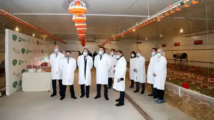 Макинская птицефабрика: надежность, высокое качество и развитие производства