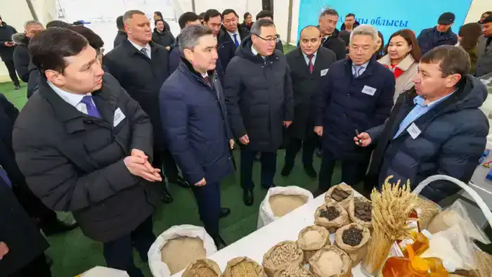 Премьер-министр посетил ряд предприятий Алматинской области и ознакомился с объемами привлеченных инвестиций (2)