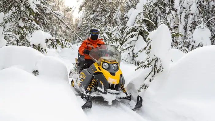 Снежные следы на пути к правде: МВД Казахстана раскрыло сеть преступных групп в масштабной спецоперации