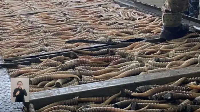 Борьба с браконьерством: Казахстан усиливает меры по защите редких видов животных