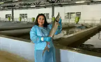 Влияние научных достижений на развитие аквакультуры в Казахстане: путь Асылбековой Сауле