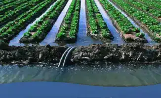 Министерство водных ресурсов наложило штрафы на поставщиков поливной воды на сумму 17,8 млн тенге за нарушение прав потребителей