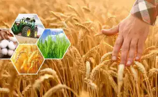 Рост инвестиций в агропромышленный комплекс Актюбинской области создает новые рабочие места и укрепляет экономику региона