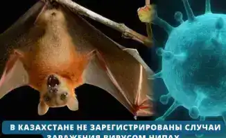 Усиление санитарно-карантинного контроля в Казахстане на фоне угрозы вируса Нипах