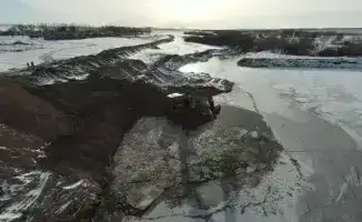 Итоги года в управлении природными ресурсами Акмолинской области: ключевые достижения и их влияние на экологическую безопасность