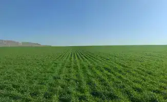 Разработка стратегии агропромышленного комплекса в ВКО