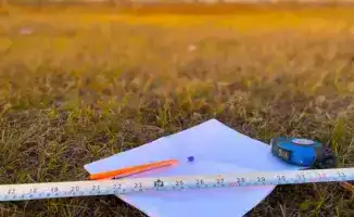 2,1 млн га неиспользуемых земель досрочно возвращены в государственную собственность