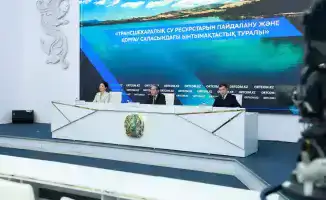 Водная дипломатия: 30 миллиардов кубометров воды — спасительная нить для озера Балхаш