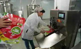 В Туркестанской области начал работу новый завод по переработке фруктов и ягод