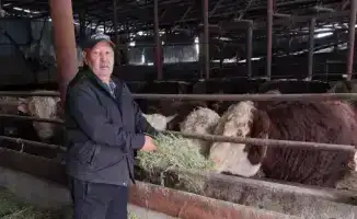 Фермерство Мусагали Алимжанова: от идеи к успешному хозяйству с 130 бычками и собственным производством кормов