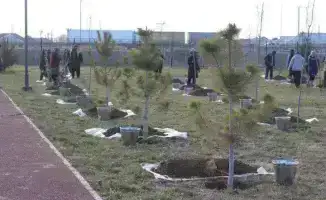 Улучшение дорог и чистоты в Туркестанской области программы Таза Қазақстан