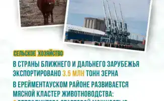 7,6 миллиона тонн: Акмолинская область на пике урожая!