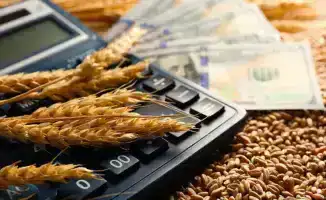 Нарушения в субсидировании перевозки зерна на экспорт зафиксированы Агентством по защите и развитию конкуренции Казахстана