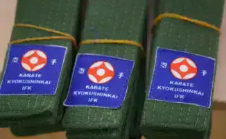 Звезды карате: юные бойцы получают свои пояса!
