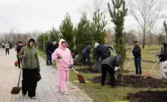 Благоустройство Костанайской области: 80 скверов и парков, 164 площадки для детей и спорта