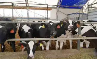 Акмолинская область лидирует по инвестиционному росту