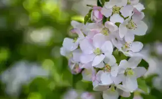 Три фестиваля Жетісу включены в событийный календарь Министерства туризма и спорта Казахстана на 2026 год