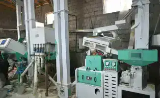 В Жетысае открыт новый рисоперерабатывающий цех с инвестициями 190 млн тенге