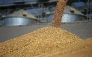 Рост объемов отгрузки зерна в Казахстане: 25% увеличение на хлебных базах Продкорпорации в 2025 году