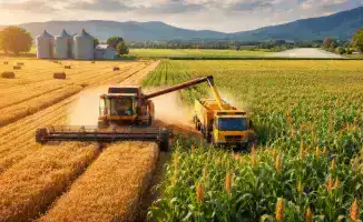 Кукурузный прорыв: Алматинская область на пути к аграрной трансформации через глубокую переработку