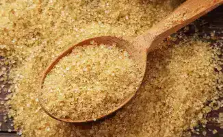 Строительство завода по производству желатина и коллагена началось в Алматы