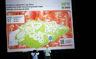 Использованные новогодние ёлки помогут создать более комфортные условия для животных в Алматинском зоопарке