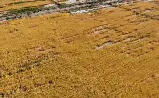 Экономия воды в Туркестанской области: достижения в реализации президентских поручений и их влияние на ресурсное обеспечение региона