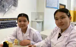Школьники Астаны успешно вывели цыплят из собственного инкубатора