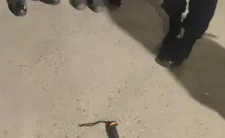 Задержание мужчины с холодным оружием в Конаеве: вопросы безопасности в обществе