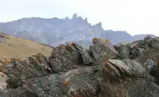 Работа по сохранению культурного наследия Туркестанской области: петроглифы на пути в список ЮНЕСКО