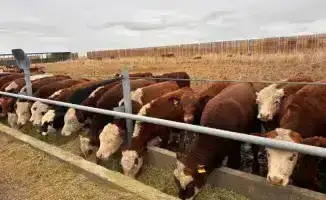 Аксуат: от ресторанов до заправок — бизнес на подъеме!