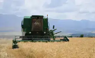 В Туркестане инициированы меры по возвращению пастбищ и учету скота для улучшения агропромышленного комплекса