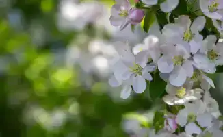 Рост числа посетителей национальных парков Жетісу в 2025 году