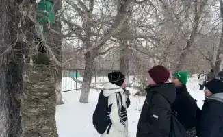 Школьники и птицы: как природа обрела уют!