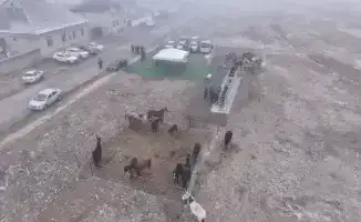 В Туркестанской области стартовал проект по чипированию животных для повышения ветеринарной безопасности