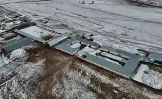 В Конаеве начнётся строительство молочно-товарной фермы на 1200 голов