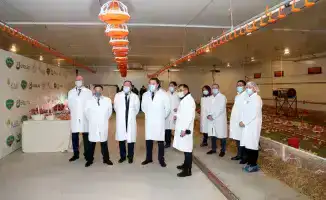 Макинская птицефабрика: надежность, высокое качество и развитие производства